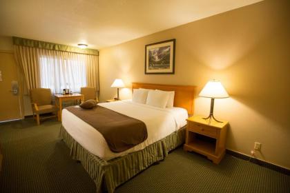 Best Western Sheridan Center - image 10