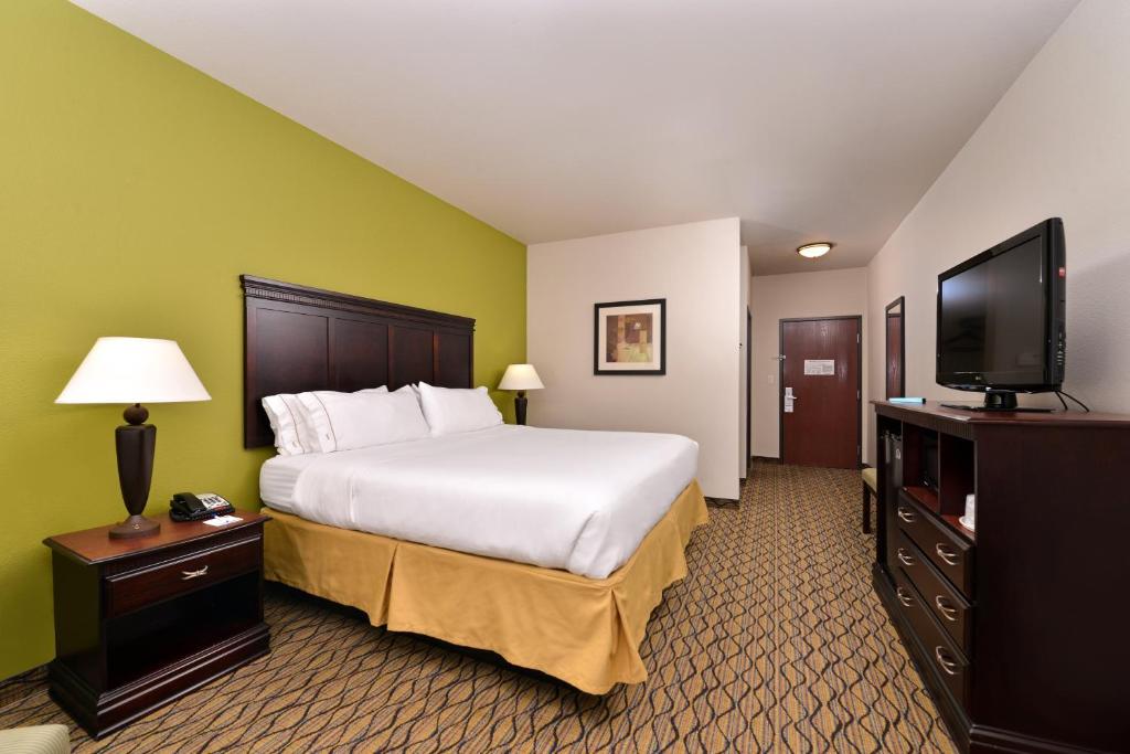 Holiday Inn Express Hotel & Suites Sherman Highway 75 an IHG Hotel - image 3