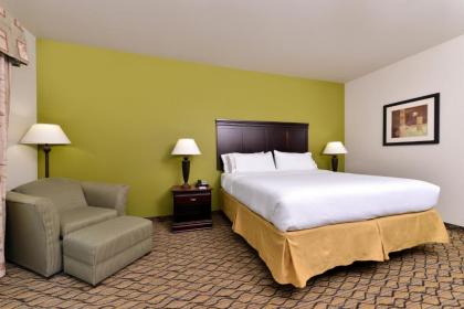 Holiday Inn Express Hotel & Suites Sherman Highway 75 an IHG Hotel - image 4