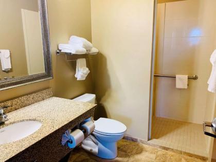 Best Western Golden Prairie Inn and Suites - image 15