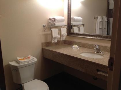 Richland Inn and Suites - image 2