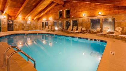 Best Western Plus Sidney Lodge - image 6