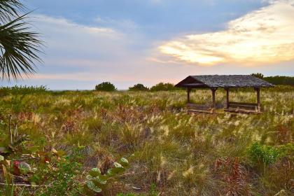 Beachview Delight; by Beachside Management - image 17