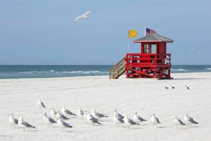 Driftwood Beach Oasis - image 9