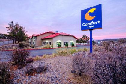 Comfort Inn Near Gila National Forest - image 5