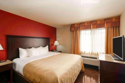 Quality Inn - image 10