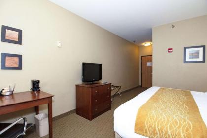 Comfort Inn & Suites East Moline near I-80 - image 3