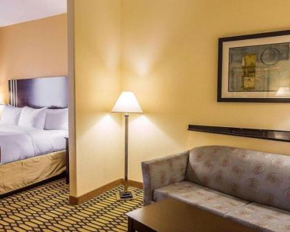 Comfort Suites Simpsonville - image 6