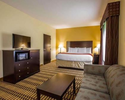 Comfort Suites Simpsonville - image 9