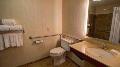 Holiday Inn Express & Suites Sioux Center an IHG Hotel - image 4