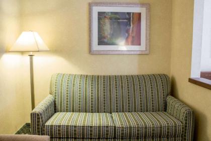 Comfort Inn Sioux City South - image 15