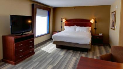 Holiday Inn Express & Suites Sioux City-South an IHG Hotel - image 11