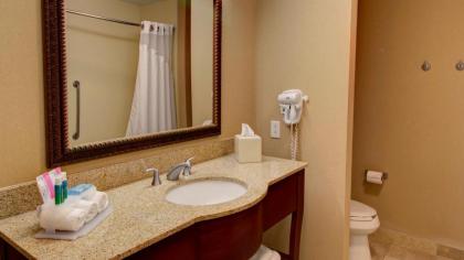 Holiday Inn Express & Suites Sioux City-South an IHG Hotel - image 13