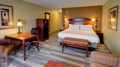 Holiday Inn Express & Suites Sioux City-South an IHG Hotel - image 14