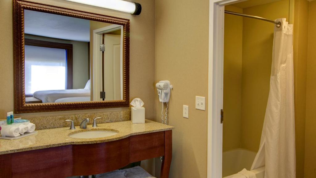 Holiday Inn Express & Suites Sioux City-South an IHG Hotel - image 4