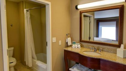 Holiday Inn Express & Suites Sioux City-South an IHG Hotel - image 5