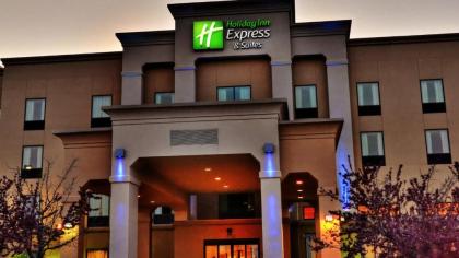 Holiday Inn Express & Suites Sioux City-South an IHG Hotel - image 7