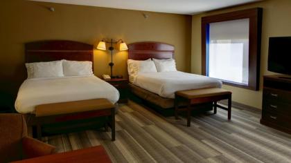 Holiday Inn Express & Suites Sioux City-South an IHG Hotel - image 8