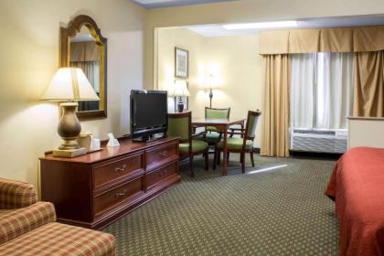 Quality Inn & Suites Sioux City - image 8