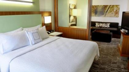 SpringHill Suites by Marriott Sioux Falls - image 2