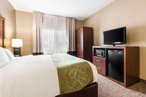 Comfort Suites - Sioux Falls - image 4