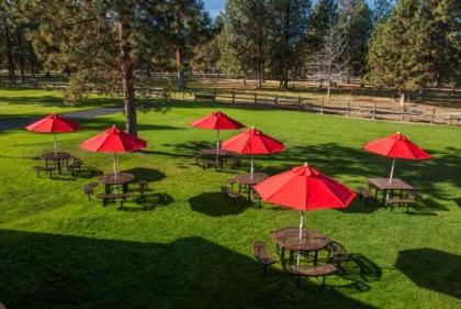 Best Western Ponderosa Lodge - image 3