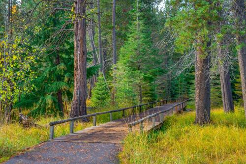 Black Butte Ranch: Authentic Ranch Cabin - image 3