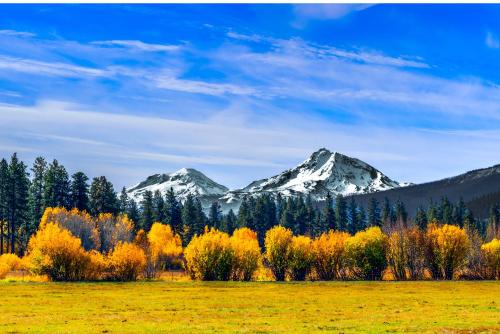 Black Butte Ranch: Authentic Ranch Cabin - image 5