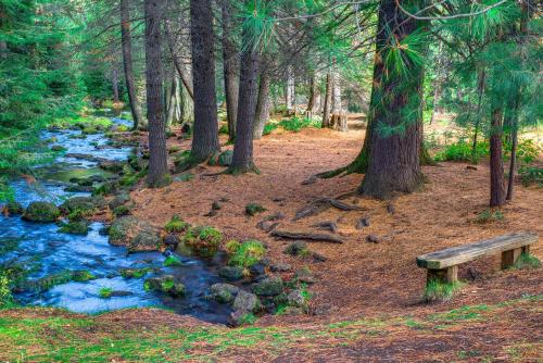 Glaze Meadow 7 - image 3