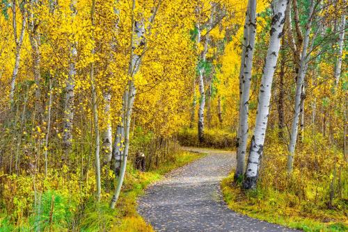 Cabin in the Pines - Black Butte Ranch SM 144 - image 3