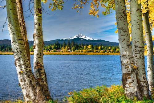 Cabin in the Pines - Black Butte Ranch SM 144 - image 5