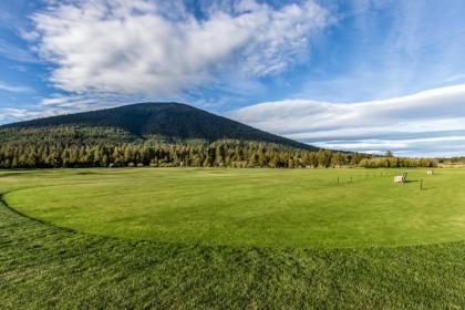 Architect's Masterpiece Black Butte - image 9