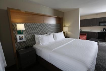 Holiday Inn Chicago North Shore an IHG Hotel - image 11