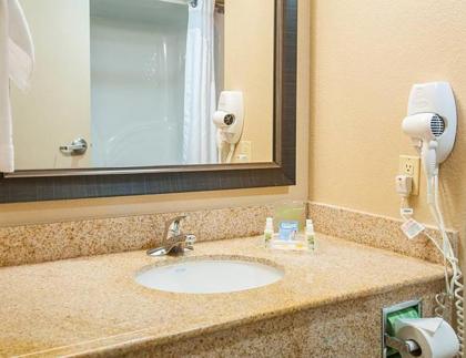 Holiday Inn Hotel & Suites Slidell an IHG Hotel - image 2