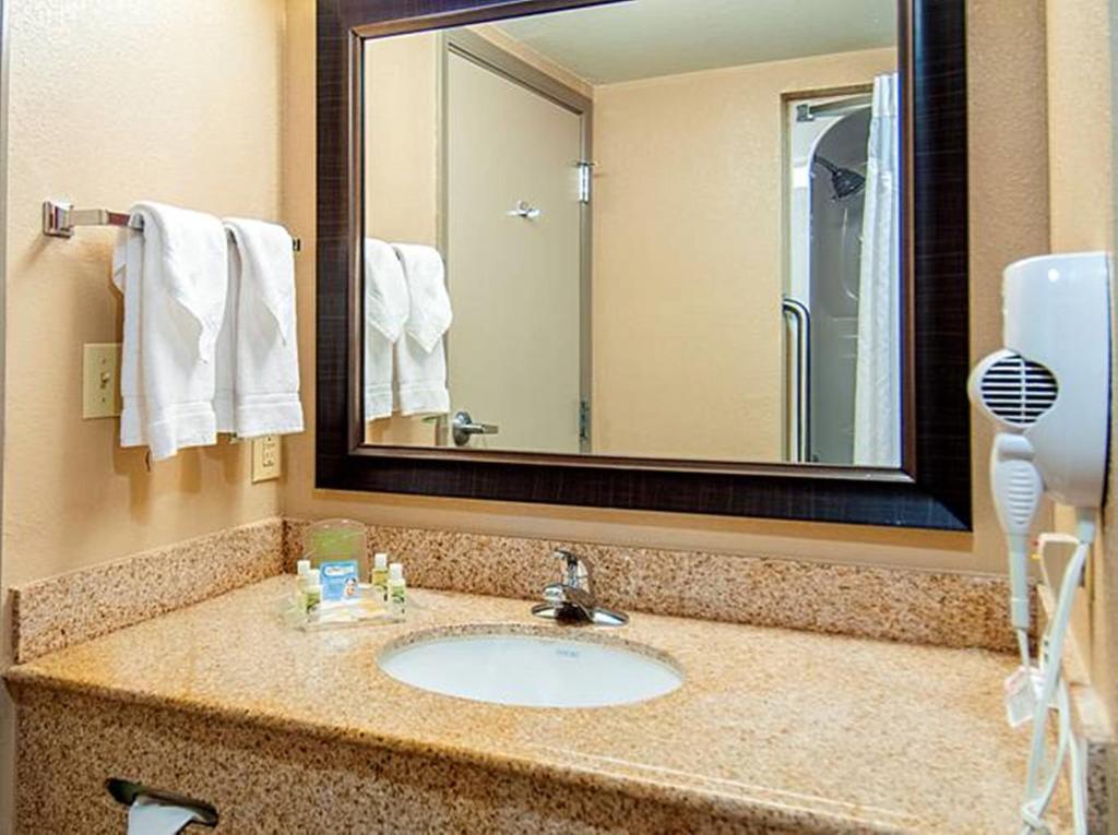 Holiday Inn Hotel & Suites Slidell an IHG Hotel - image 5