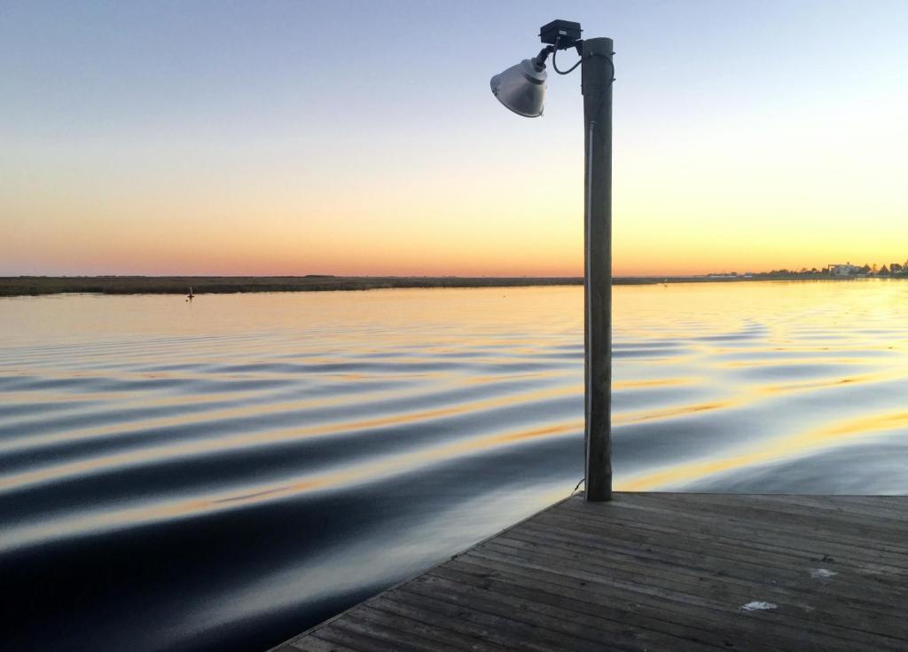 Little Blue Crab about Quaint Slidell Cottage with Dock - image 5