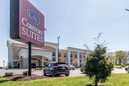 Comfort Suites Smyrna - image 8