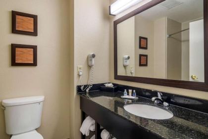 Comfort Inn & Suites Galleria - image 13