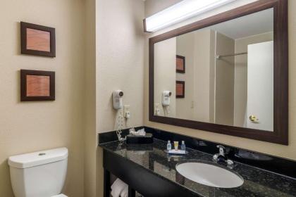 Comfort Inn & Suites Galleria - image 15