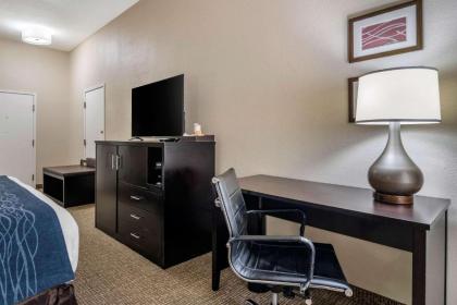 Comfort Inn & Suites Galleria - image 8