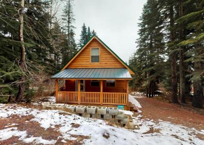 Snowdrop Summit Cabin - image 11