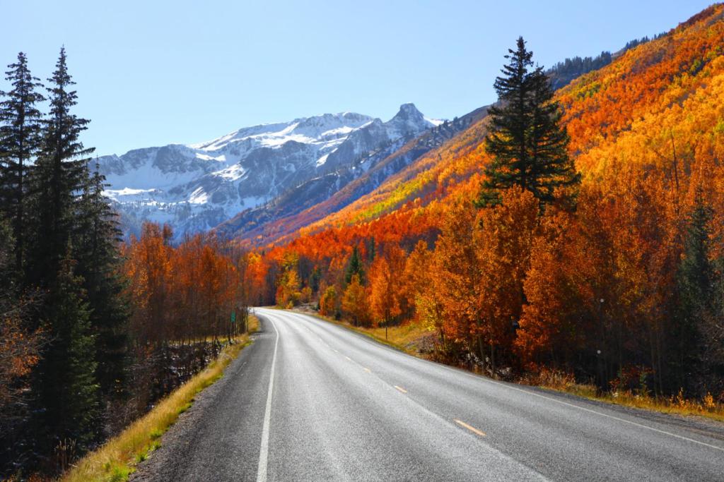 True Ski-In Ski-Out Stunning Mountain Views! - image 6