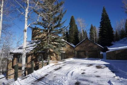 Holiday homes in Snowmass Village Colorado