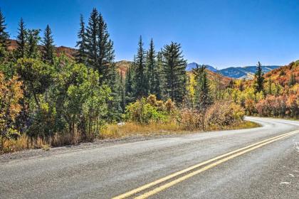 Charming Creekside Snowmass Studio 15 Mi to Aspen - image 9