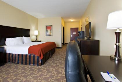 Holiday Inn Express and Suites Snyder an IHG Hotel - image 13