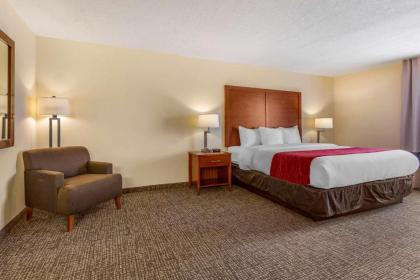 Comfort Inn & Suites Socorro - image 14