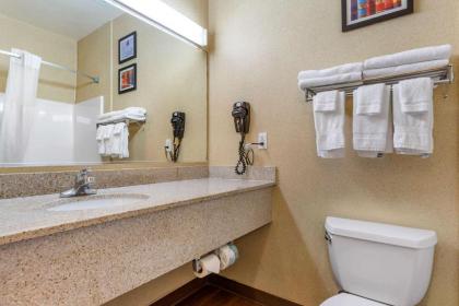 Comfort Inn & Suites Socorro - image 15