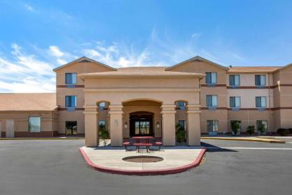 Comfort Inn & Suites Socorro - image 5