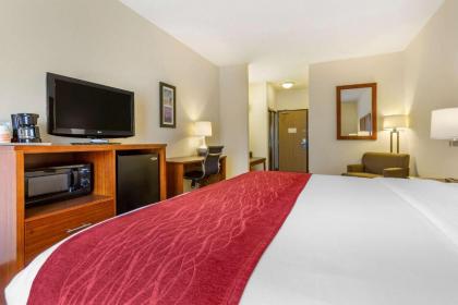 Comfort Inn & Suites Socorro - image 6