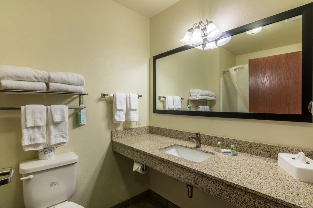 Cobblestone Inn & Suites - Soda Springs - image 3